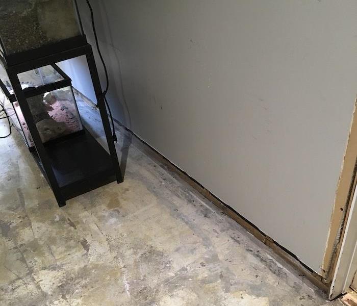 Dry basement floor with aquariums pulled away from the wall