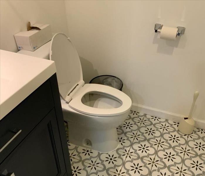 Toilet and vanity with black and white tile floor