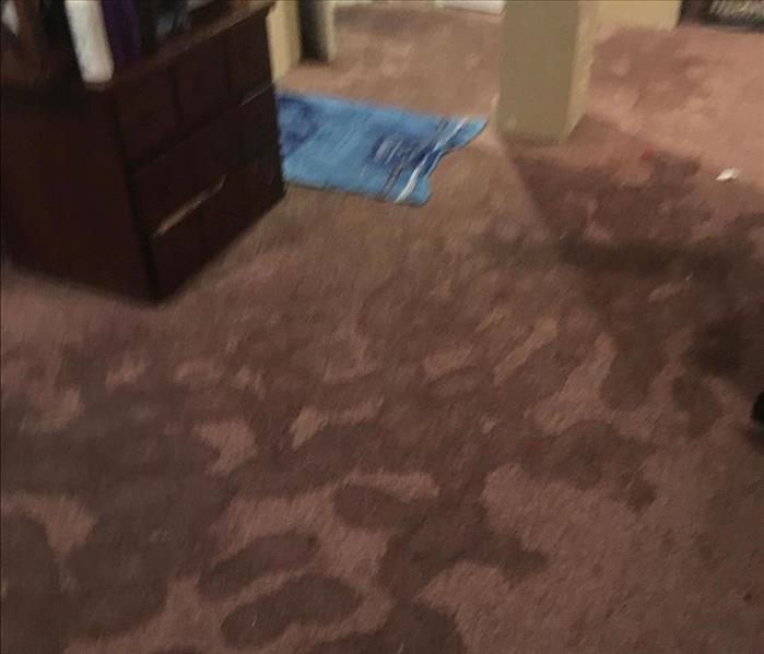 Wet carpet with a towel on the floor