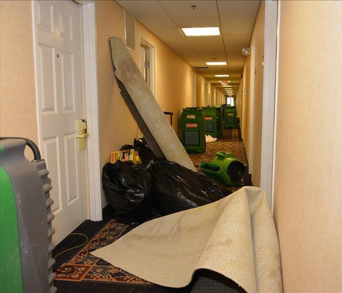 hotel corridor stuffed with carpeting drying and equipment