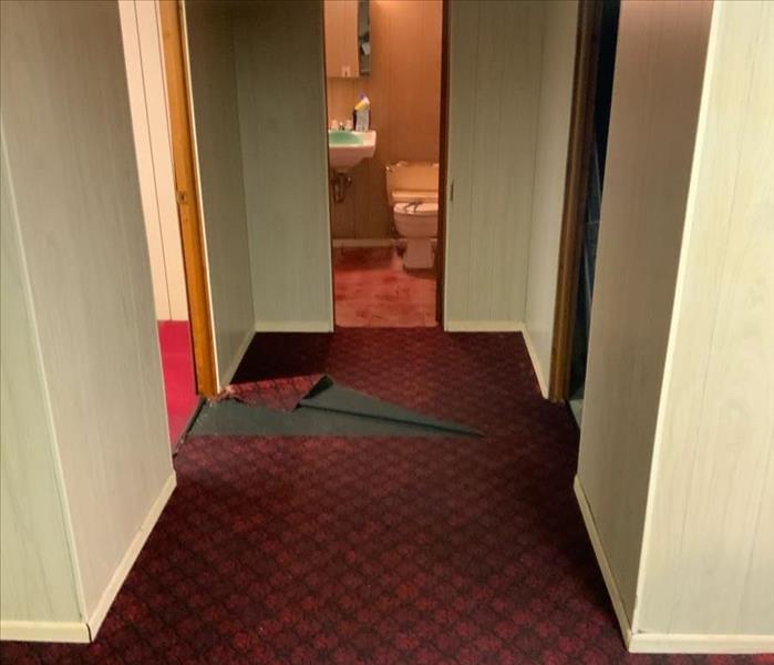 Bathroom by a hallway with red carpet 