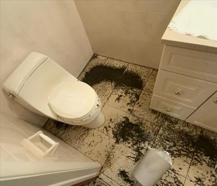 Bathroom with solid waste around a toilet on a white tile floor