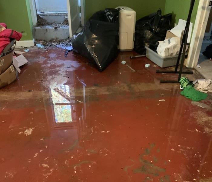 Basement with water on the floor and items in the water